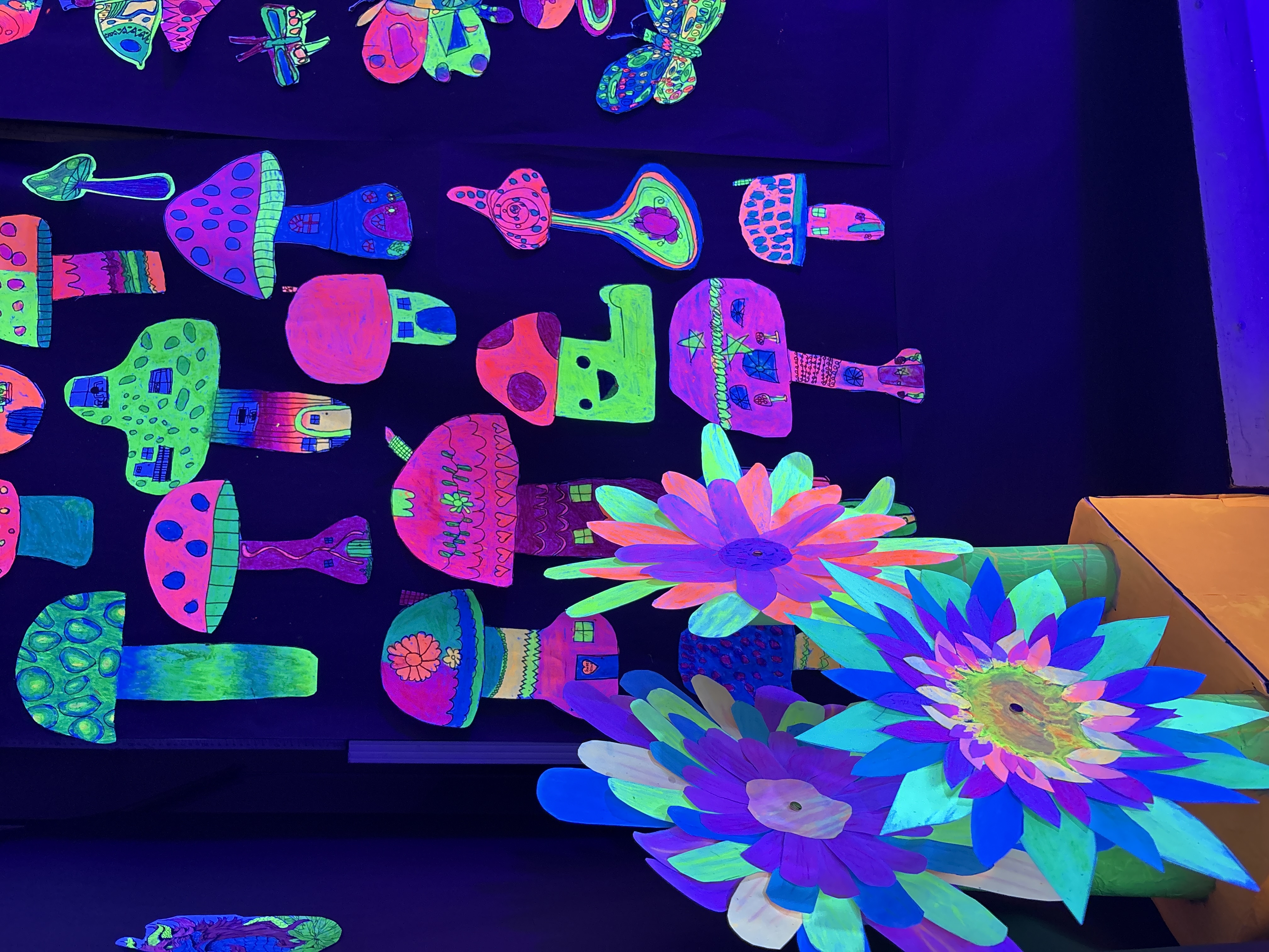 Glow Gallery - HPE-5