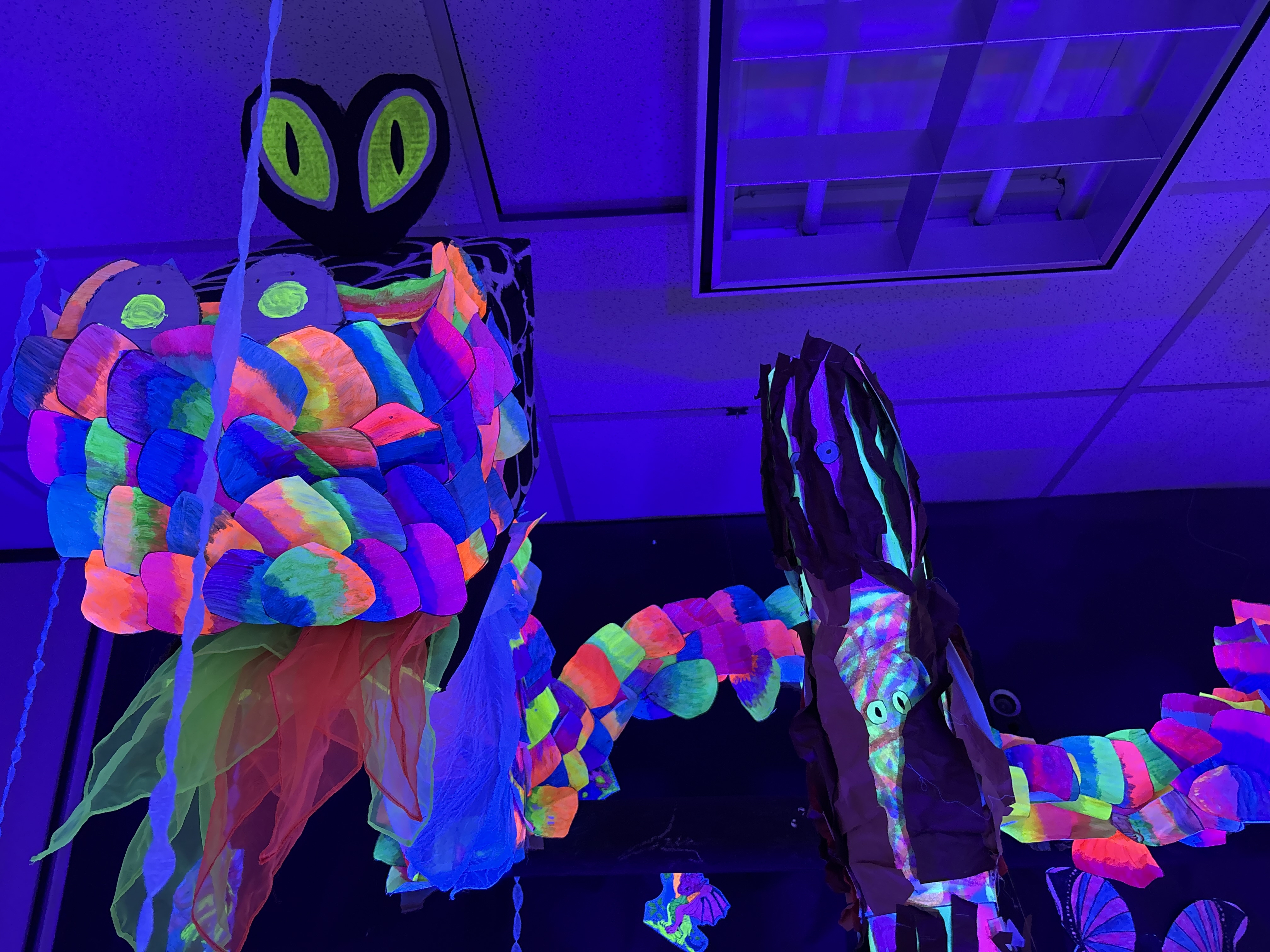 Glow Gallery - HPE-6